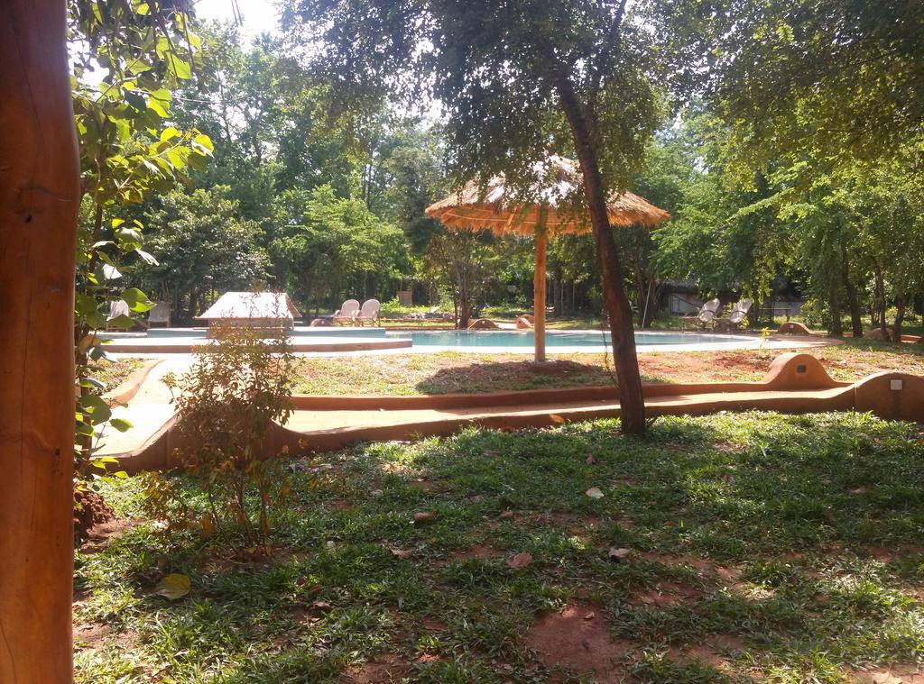Kuwera Eco Lodge Sigirîya Extérieur photo