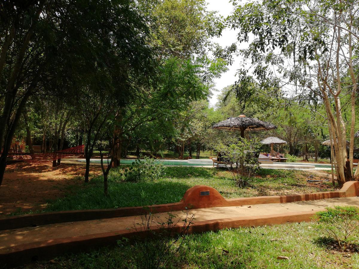 Kuwera Eco Lodge Sigirîya Extérieur photo