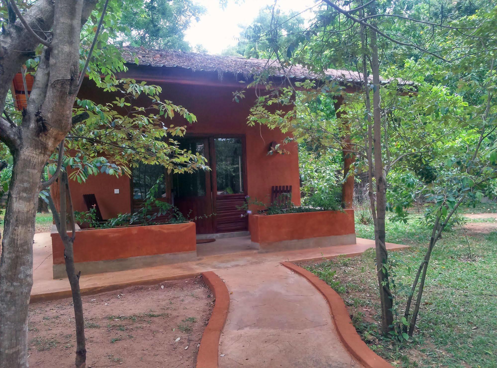 Kuwera Eco Lodge Sigirîya Extérieur photo