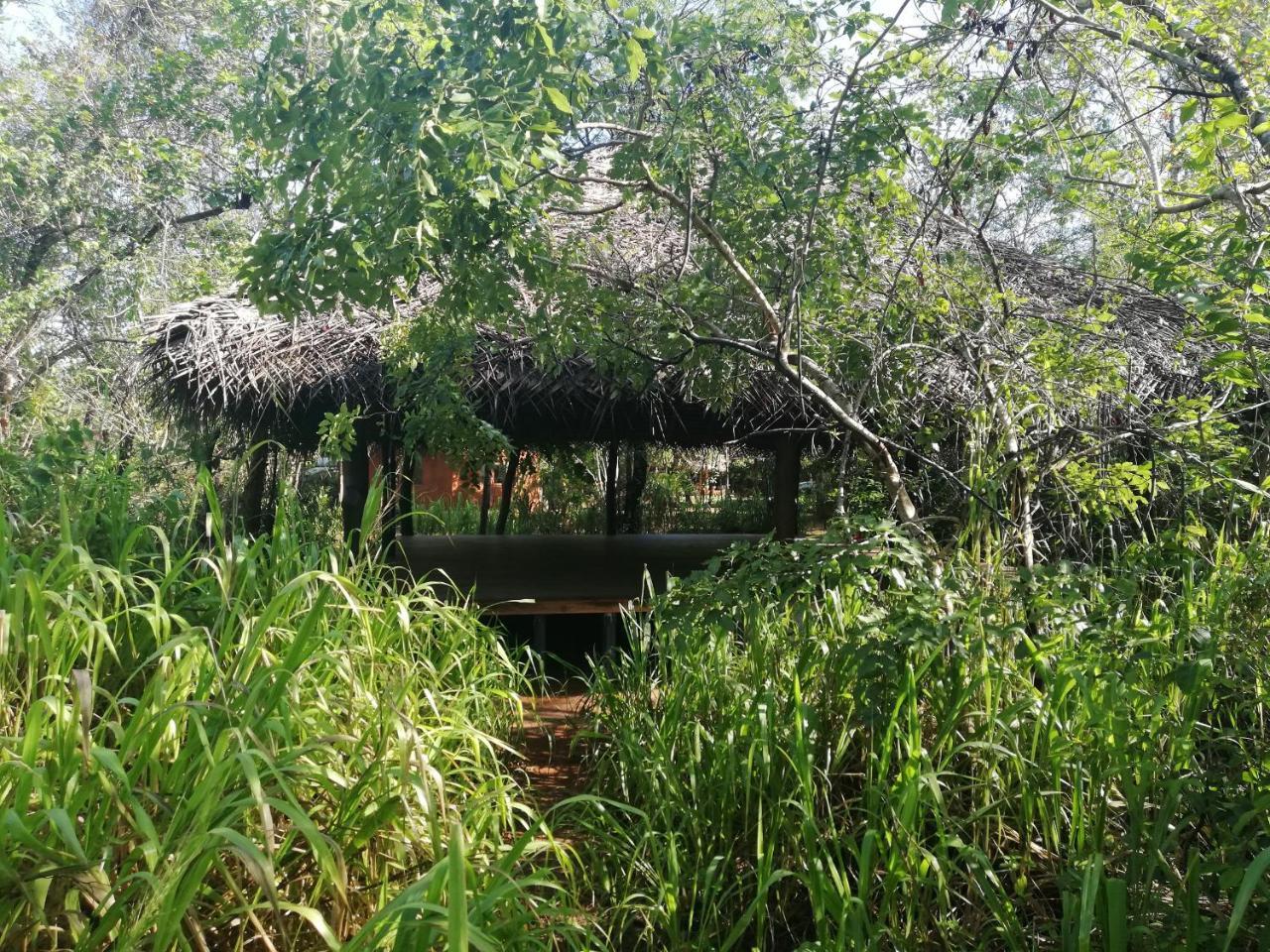 Kuwera Eco Lodge Sigirîya Extérieur photo