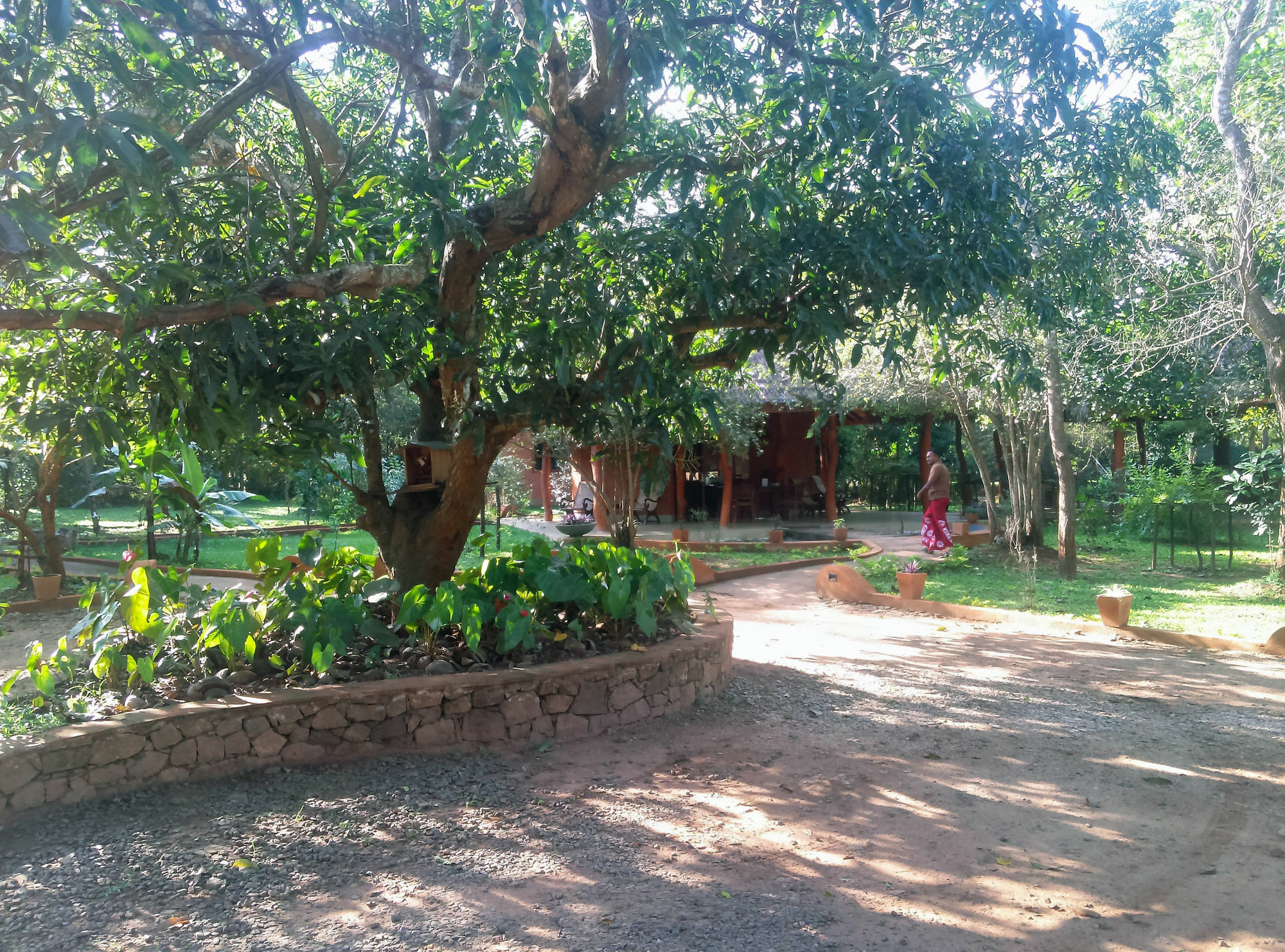 Kuwera Eco Lodge Sigirîya Extérieur photo